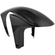 Guardabarros delantero de carbono LighTech Aprilia RSV4/1100 Factory/R/RR/RF (09-20) CARA3010 