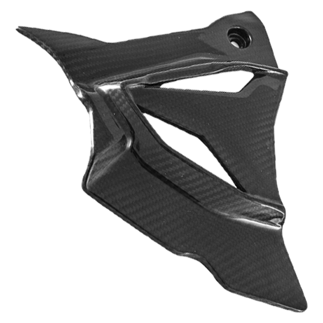 Cubierta de piñón de carbono Fullsix BMW S1000RR K67 (19-25) 