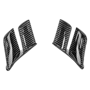 Aletas traseras MotoGP 200g AP Carbon Line Ducati Panigale V4/S/R (18-24) 