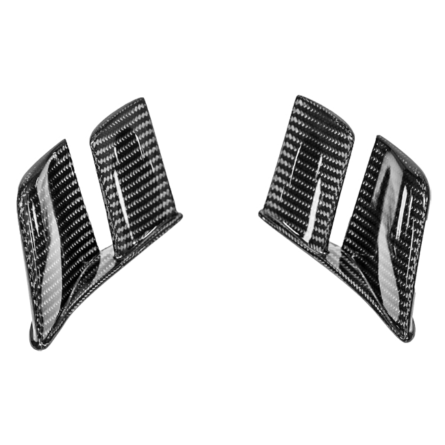 Aletas traseras MotoGP 200g AP Carbon Line Ducati Panigale V4/S/R (18-24) 