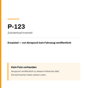 Akrapovic Zylinderkopf-Innenteil P-123 — Platzhalter, kein Herstellerfoto verfügbar