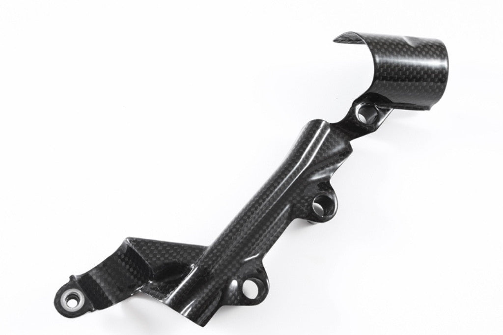 Cubre cilindro de freno trasero de carbono Fullsix para Ducati Panigale 1199/R/S (12-17) 