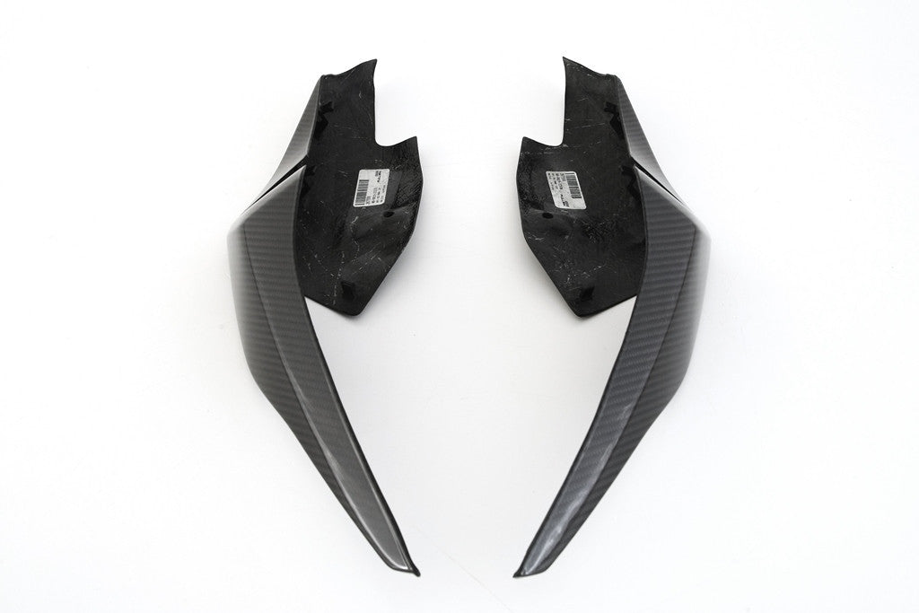 Juego de piezas laterales traseras (izquierda + derecha) Carbono Fullsix BMW S1000RR K67 (19-22) 