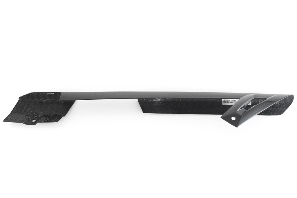 Protección de cadena "Short" Carbon Fullsix BMW S1000RR K46 (09-18) 