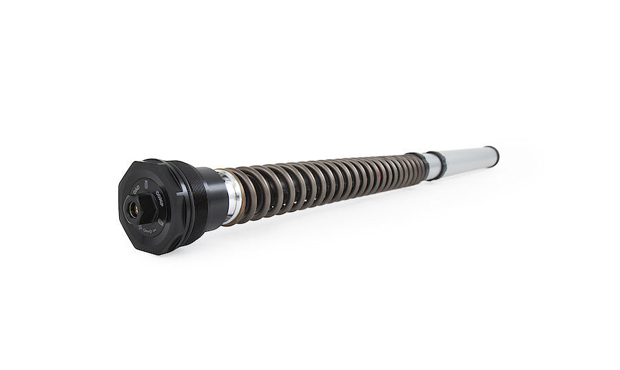 Kit de cartucho Öhlins NIX 30 FGK 229 Ducati Panigale V2 955 (20-24) 